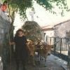 Raça bovina Cachena, 1996